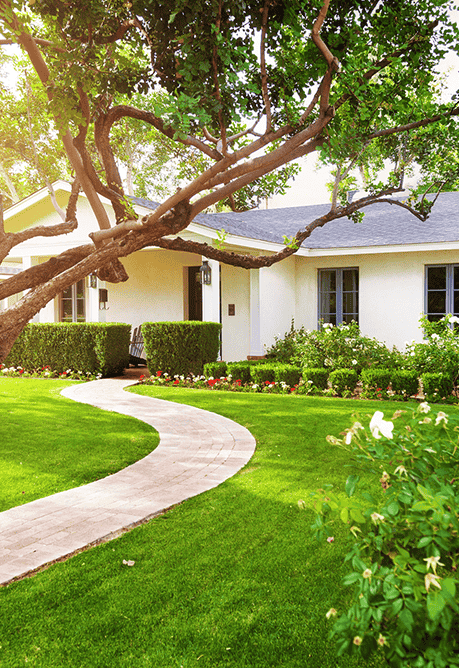 Featured Home Content Image